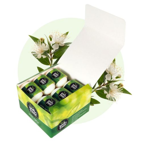 Zesty Fresh Natural Soap Box